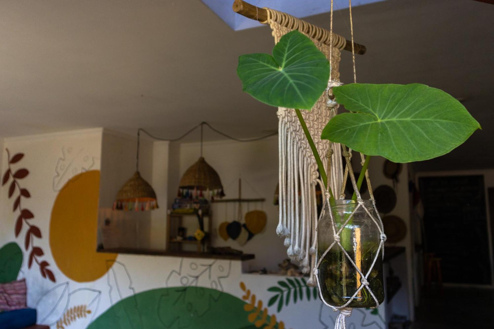 Sambaqui Hostel Ілябела Екстер'єр фото